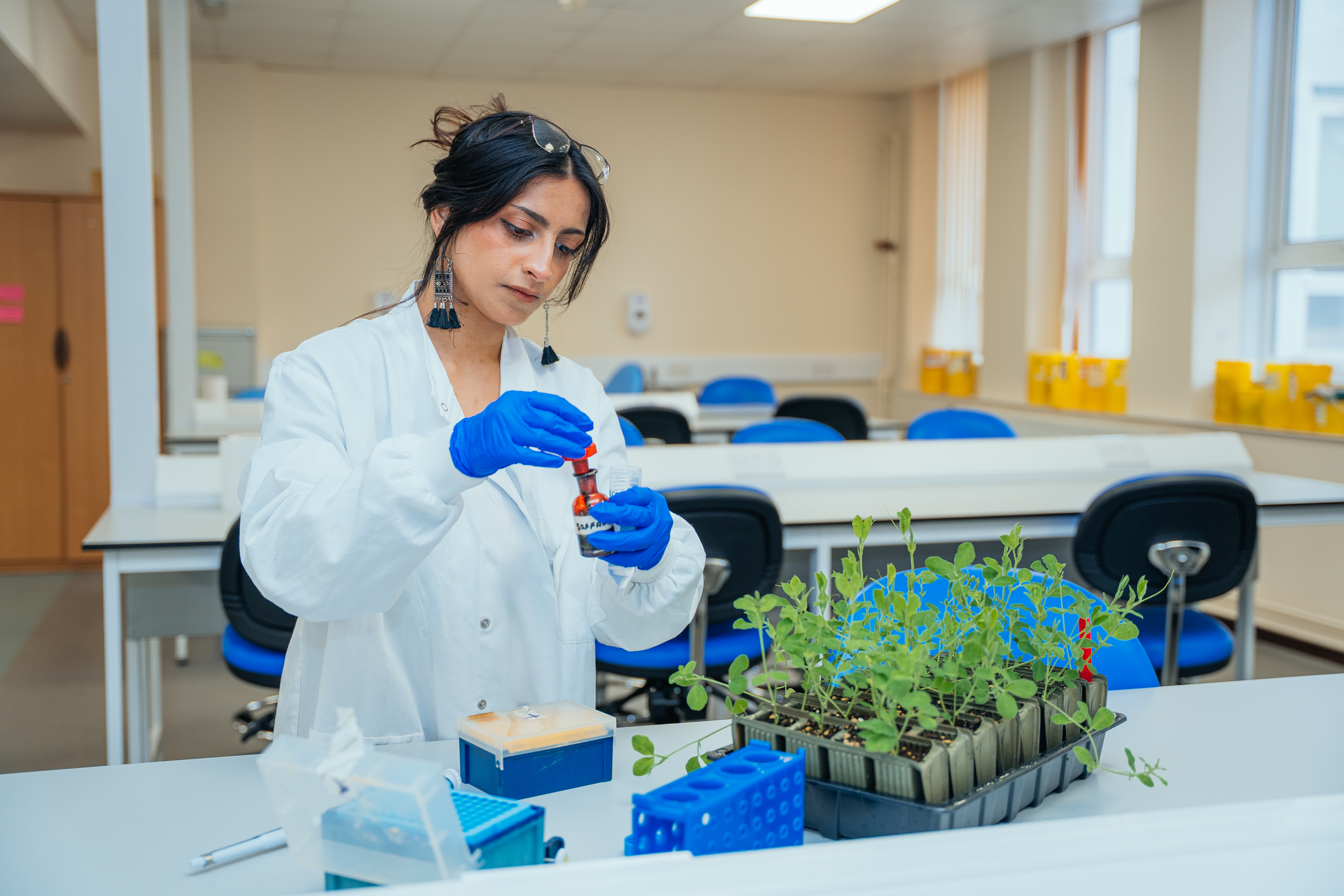 Student in a laboratory holding a bottle and pipette in front of a tray of seedlings