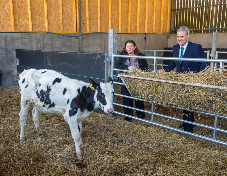 Two people admiring a calf in a pen.